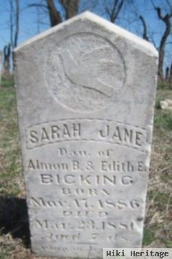 Sara Jane Picking