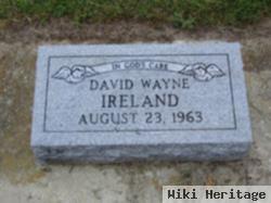 David Wayne Ireland