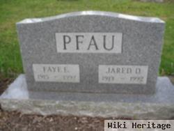 Faye E. Irons Pfau