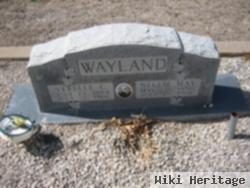 Nellie May Wayland