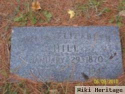 Julia Elizabeth Mcnair Hill