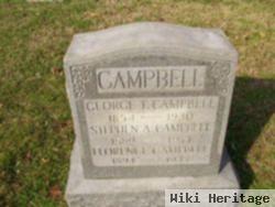 Stephen A Campbell