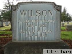 James Orr Wilson