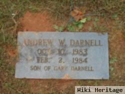 Andrew W Darnell