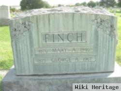 Mary Ann Finch