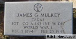 James G Mulkey