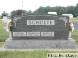 Charles A Schulte