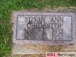 Susan Ann Chidester