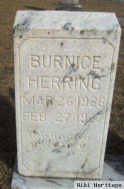 Burnice Herring