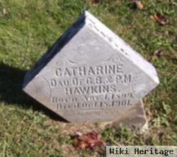 Catharine Hawkins