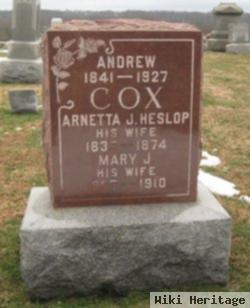 Arnetta Jane Heslop Cox