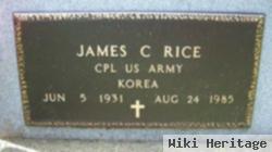 James C Rice