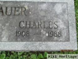 Charles A. Bauer