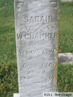 Sarah R Simpson Hammer