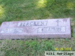 Rev J. Henry Bergren