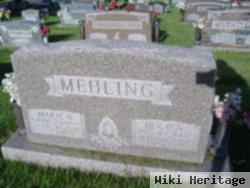 Hugo V Mehling