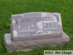 David E Ringgenberg