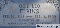 Ocie Leo Elkins