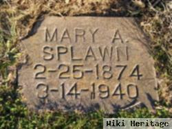 Mary Allen Twichell Splawn