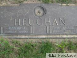 David J Heuchan