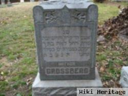 Rose Schwab Grossberg