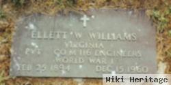 Elliot Washington Williams