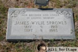 James Wylie Sprowls