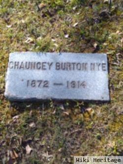 Chauncey Burton Nye