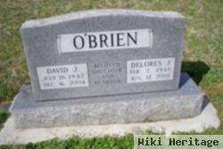 David J O'brien