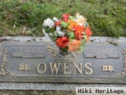 Nettie D Powers Owens