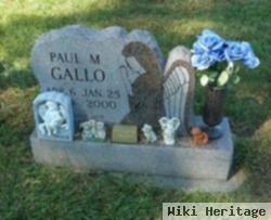 Paul M. Gallo