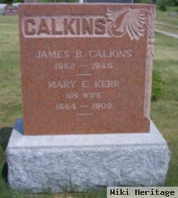 James Birney Calkins