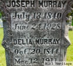 Delia Adams Murray