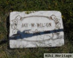 Jay Walker Wilson