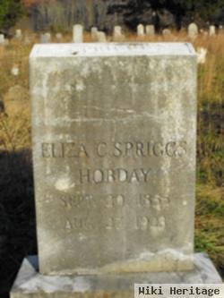 Eliza C Spriggs Hobday