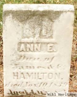 Ann E. Hamilton