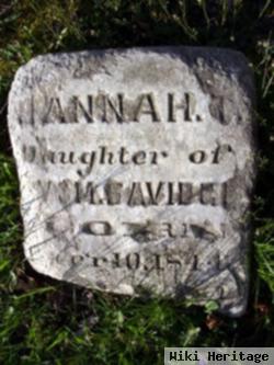 Hannah T. Savidge