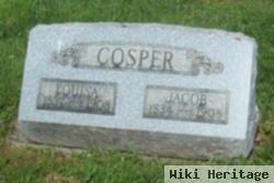 Louisa Kinney Cosper