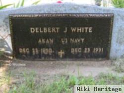 Delbert J White