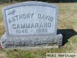 Anthony David Cammarano