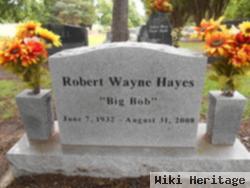 Robert W. Hayes