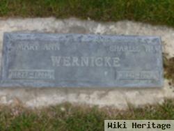 Charles W Wernicke