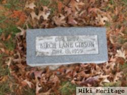 Birch Lane Gibson