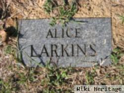 Alice Larkins