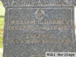 Eliza J. Barnes