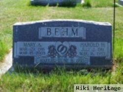 Mary A. Behm