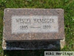 Wesley Syrus Habegger