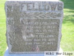 Mary Frances Yates Fellows