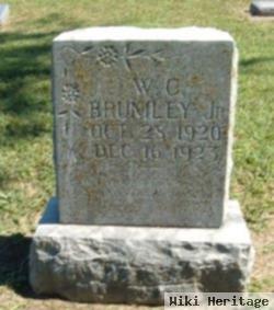 W. C. Brumley, Jr