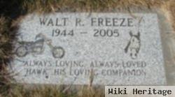 Walt Freeze